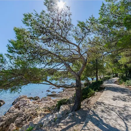 Daire Quiet Corner *